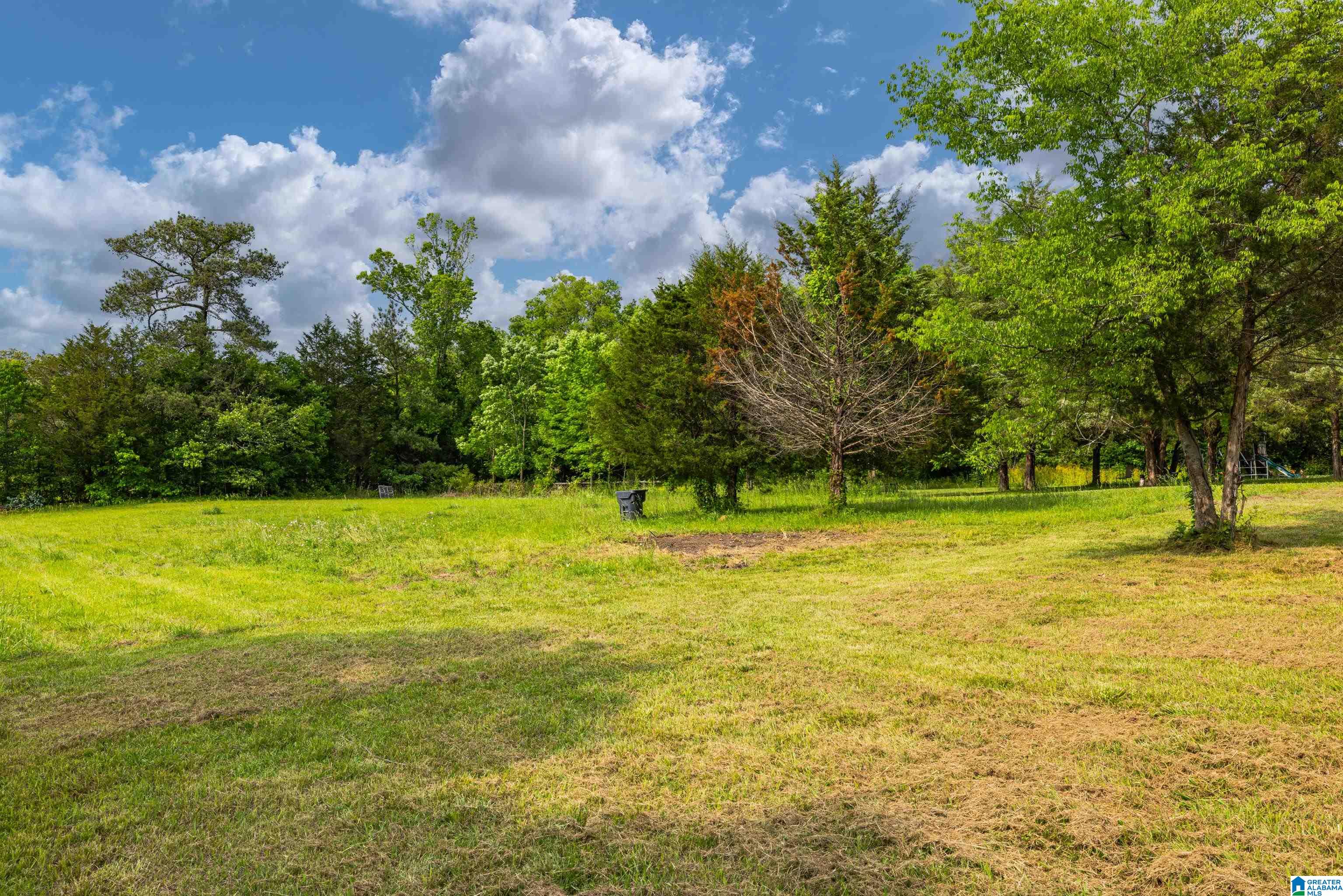 2006 Pine Dale Road Ashville, AL 35953 - Photo 32 of 32