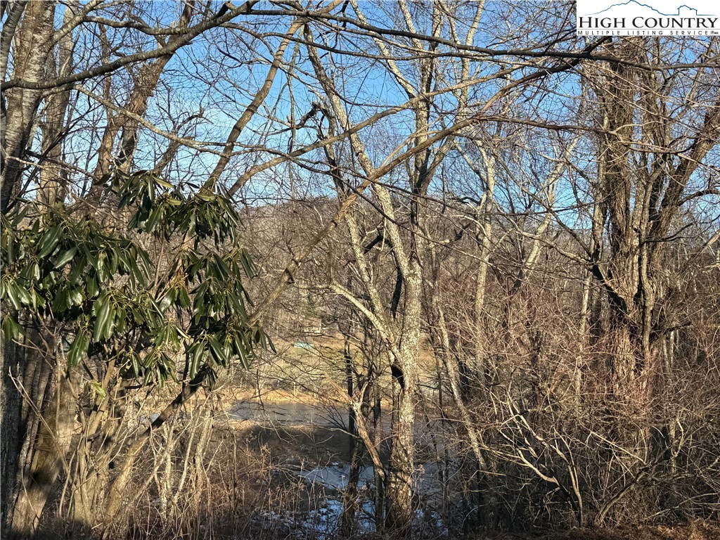 Waterstone Drive Boone, NC 28607 - Photo 11 of 15 a view of a yard