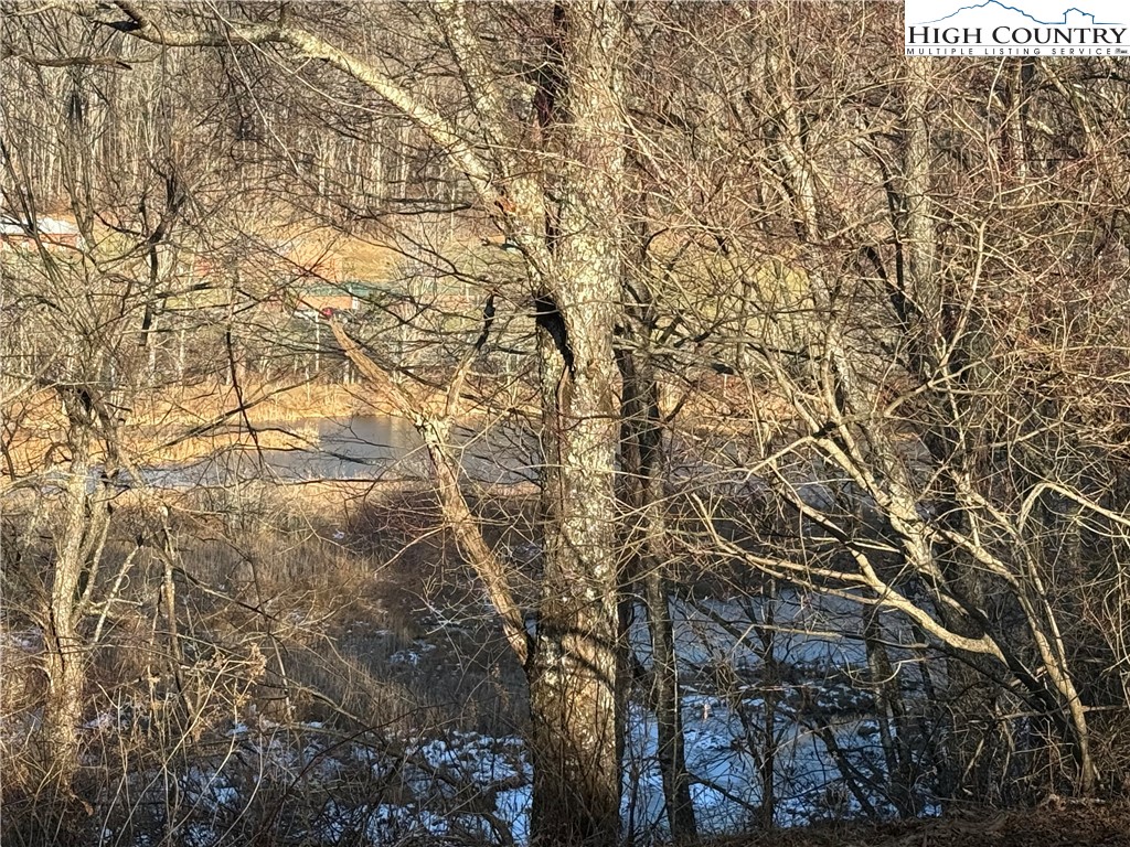 Waterstone Drive Boone, NC 28607 - Photo 12 of 15 a view of a yard