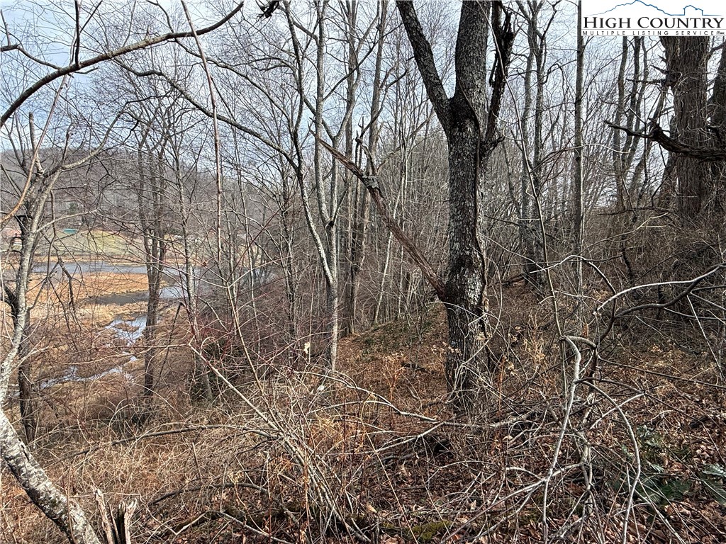 Waterstone Drive Boone, NC 28607 - Photo 5 of 15 a backyard of a house with lots of green space