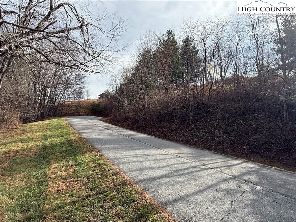 Waterstone Drive Boone, NC 28607 - Photo 6 of 15 a view of backyard with green space