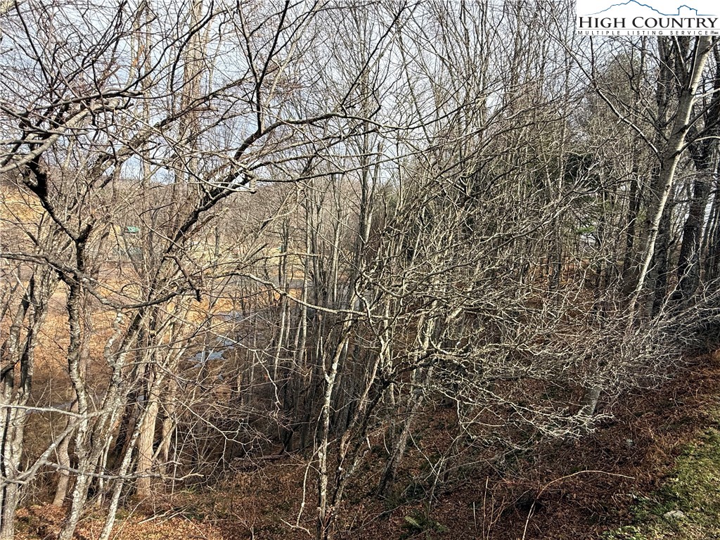Waterstone Drive Boone, NC 28607 - Photo 7 of 15 a view of a yard