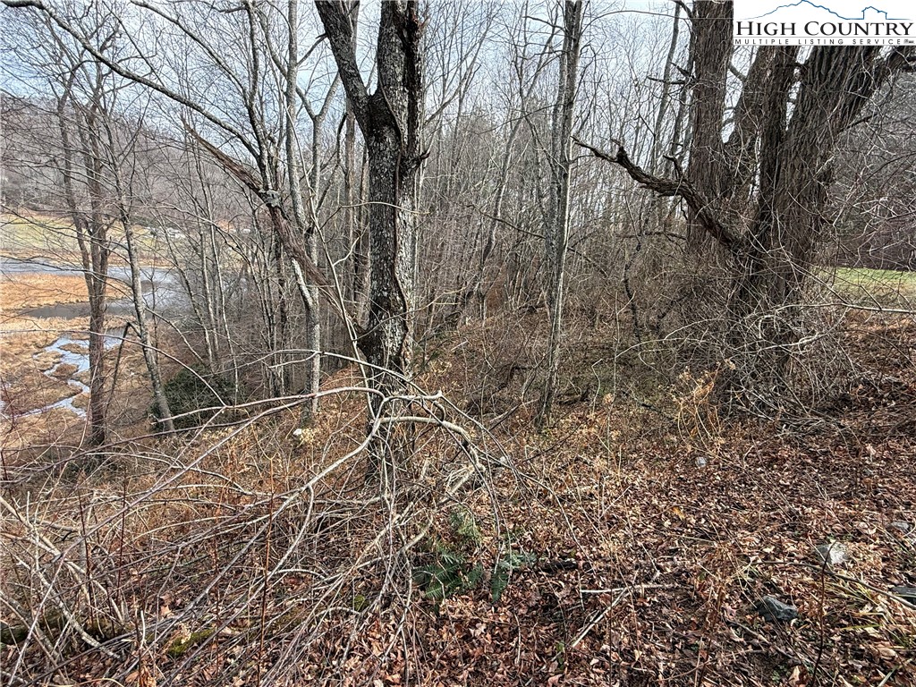 Waterstone Drive Boone, NC 28607 - Photo 8 of 15 a backyard of a house with lots of green space