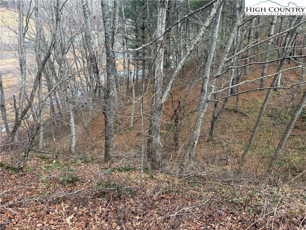 Waterstone Drive Boone, NC 28607 - Photo 9 of 15 a view of a yard with lots of bushes