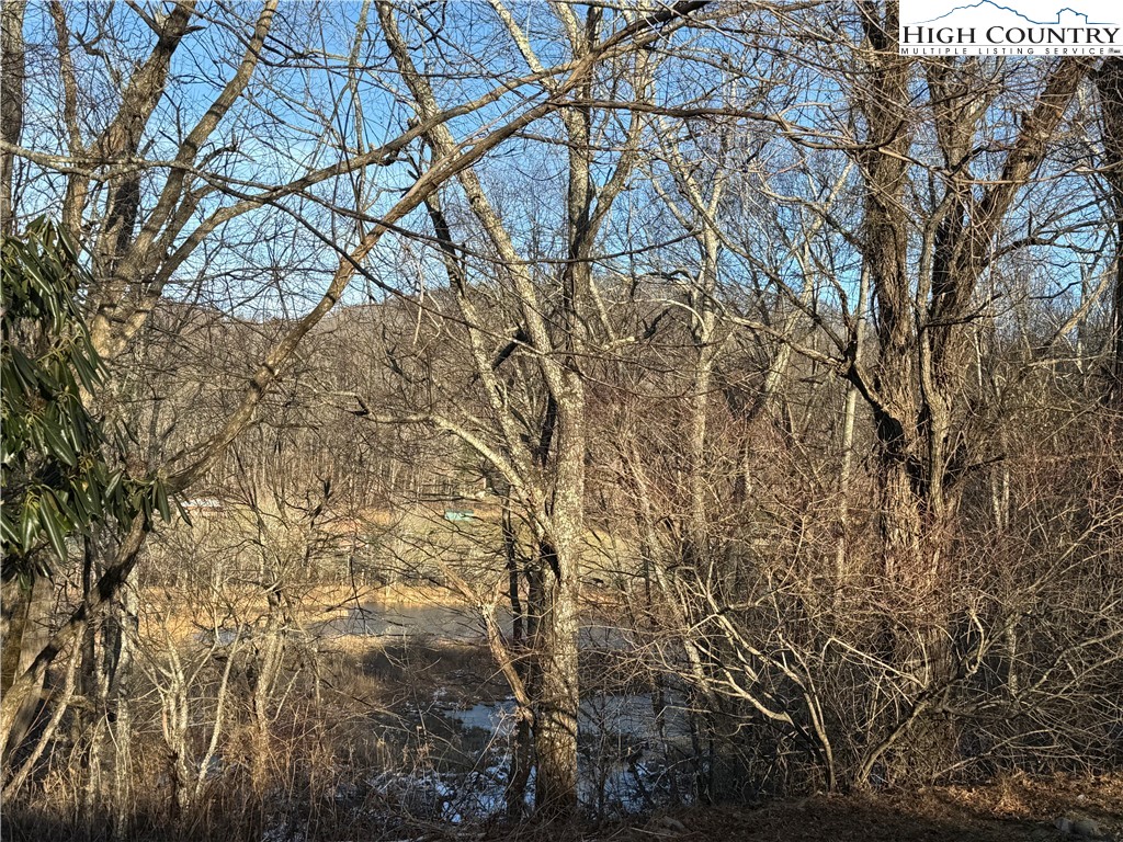 Waterstone Drive Boone, NC 28607 - Photo 10 of 15 a view of tree
