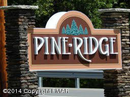 5 Pine Ridge Drive Bushkill, PA 18324 - Photo 8 of 12 pine ridge sign