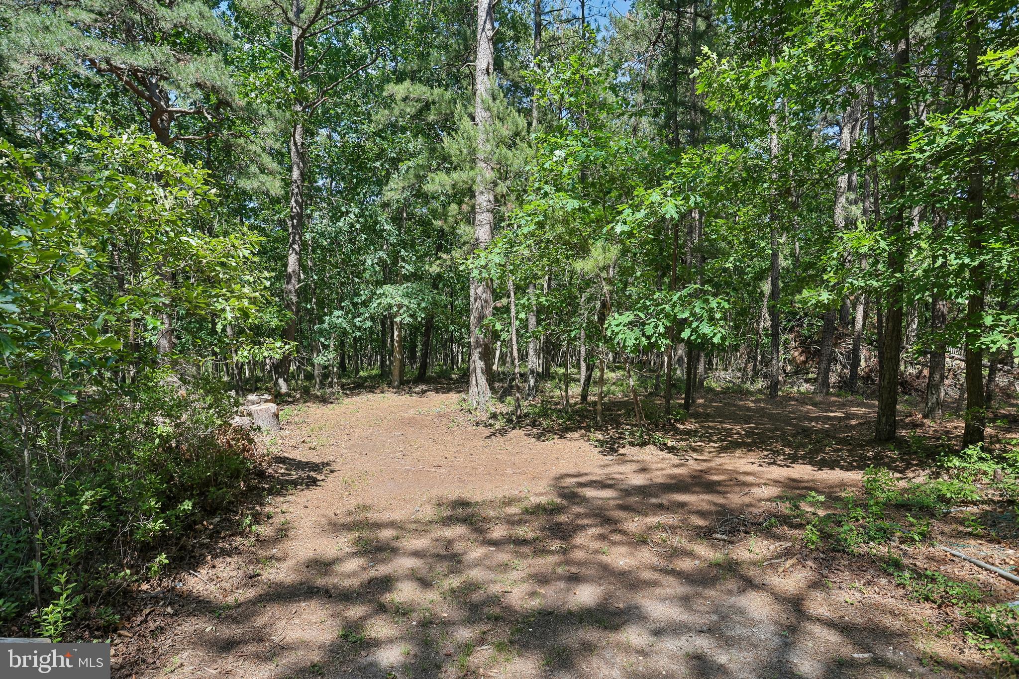 2622 North Blue Bell Road Franklinville, NJ 08322 - Photo 39 of 48