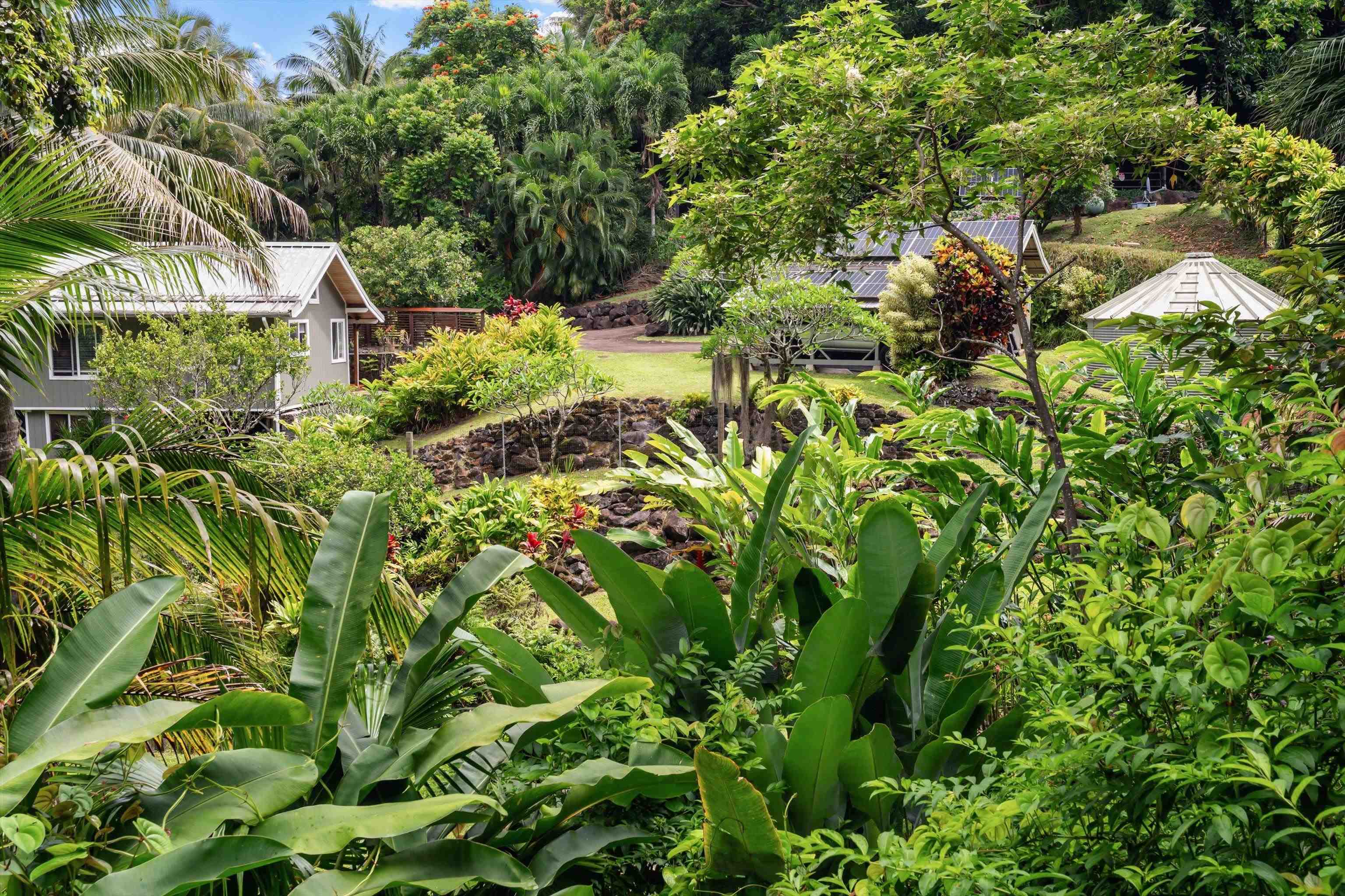 630 Hoolawa Road Haiku, HI 96708 - Photo 42 of 50