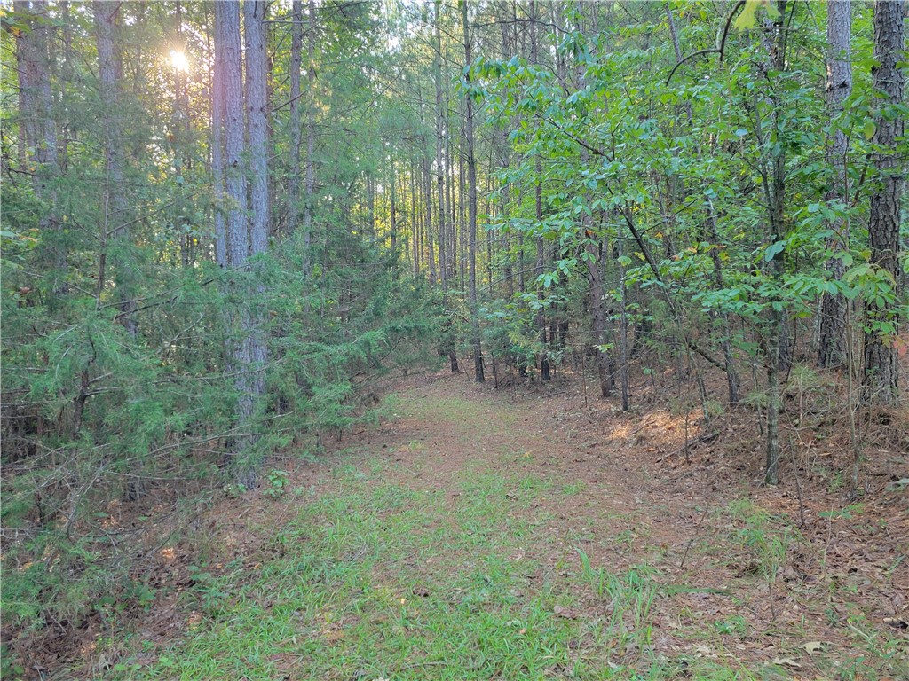 381 West Bryant Road West Union, SC 29696 - Photo 13 of 27