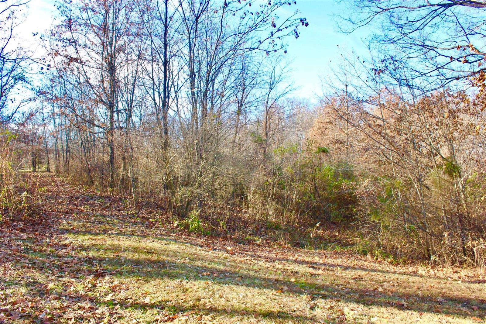 0 Hertel Road Millstadt, IL 62260 - Photo 12 of 17 Gallery Image 12