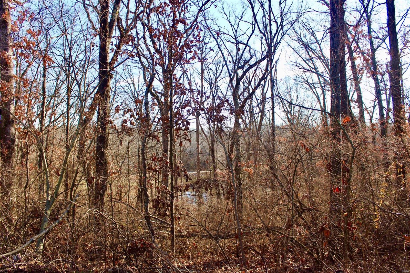 0 Hertel Road Millstadt, IL 62260 - Photo 14 of 17 Gallery Image 14