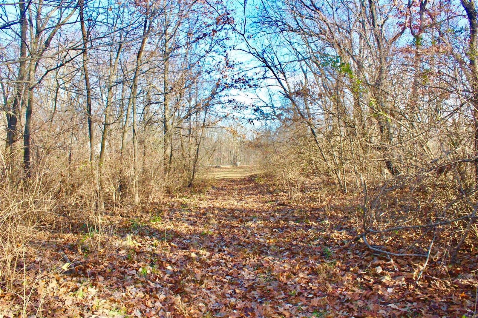 0 Hertel Road Millstadt, IL 62260 - Photo 15 of 17 Gallery Image 15