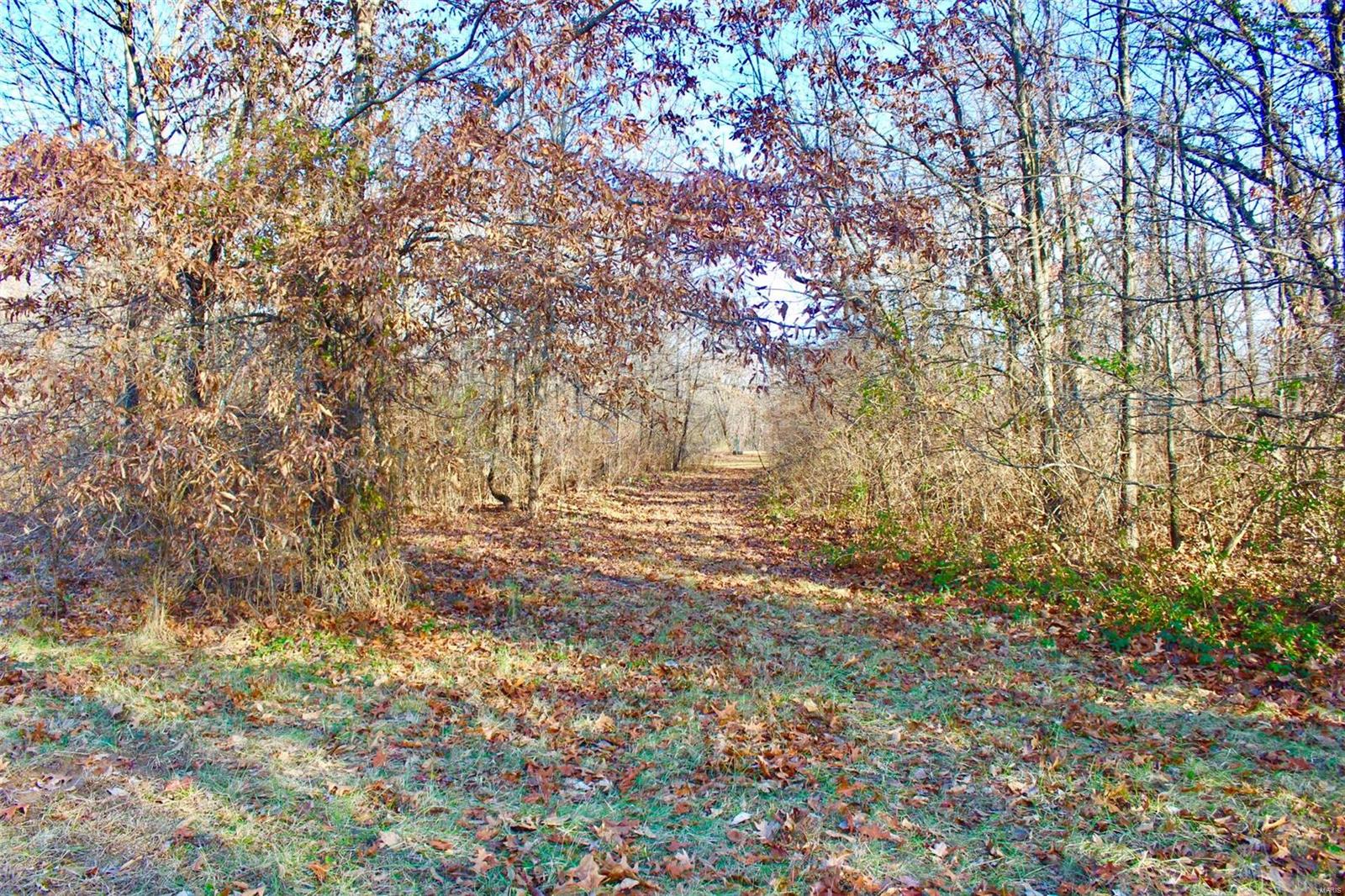 0 Hertel Road Millstadt, IL 62260 - Photo 16 of 17 Gallery Image 16