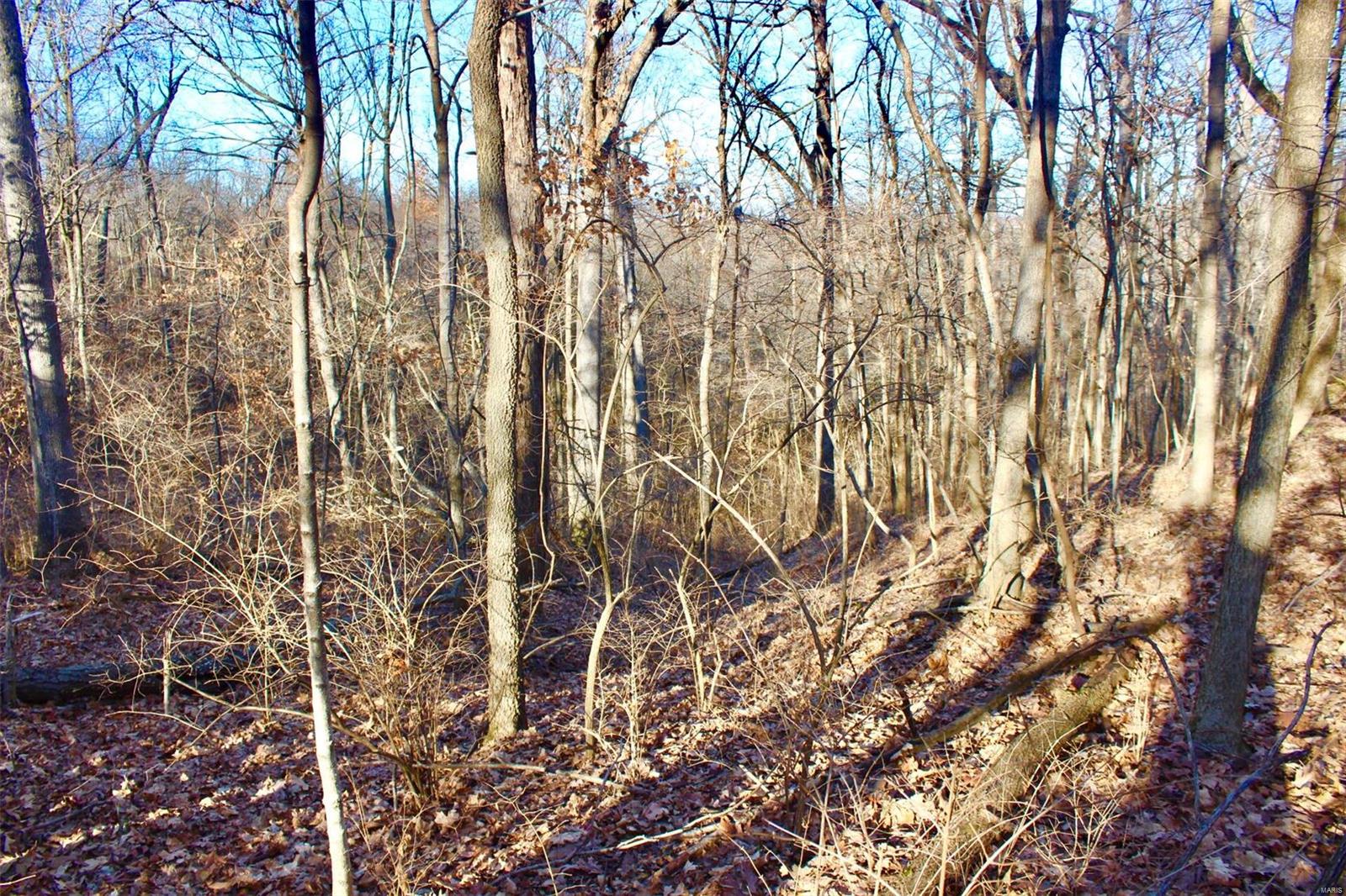 0 Hertel Road Millstadt, IL 62260 - Photo 6 of 17 Gallery Image 6