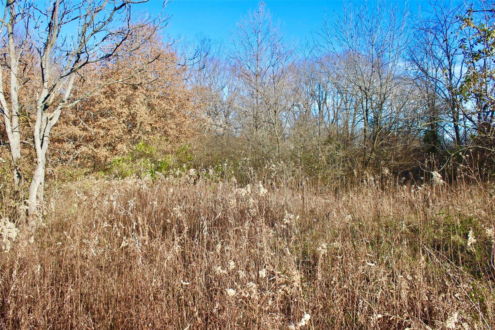 0 Hertel Road Millstadt, IL 62260 - Photo 7 of 17 Gallery Image 7