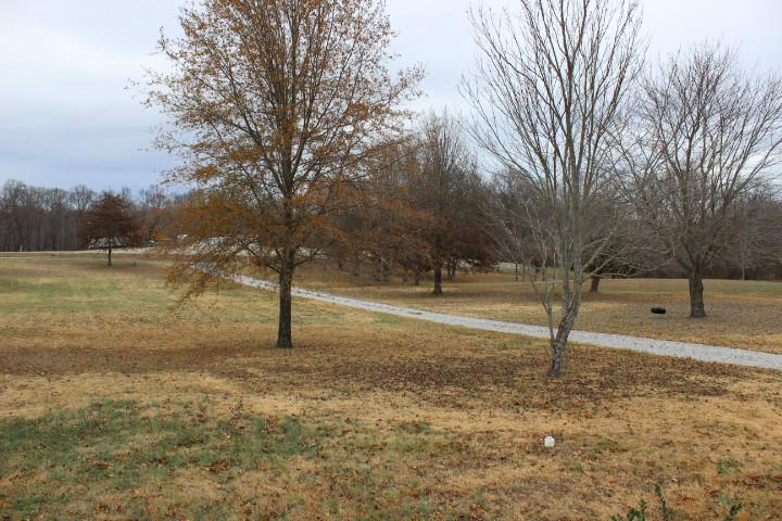 2140 Castelow Road Greenbrier, TN 37073 - Photo 13 of 29 Gallery Image 13
