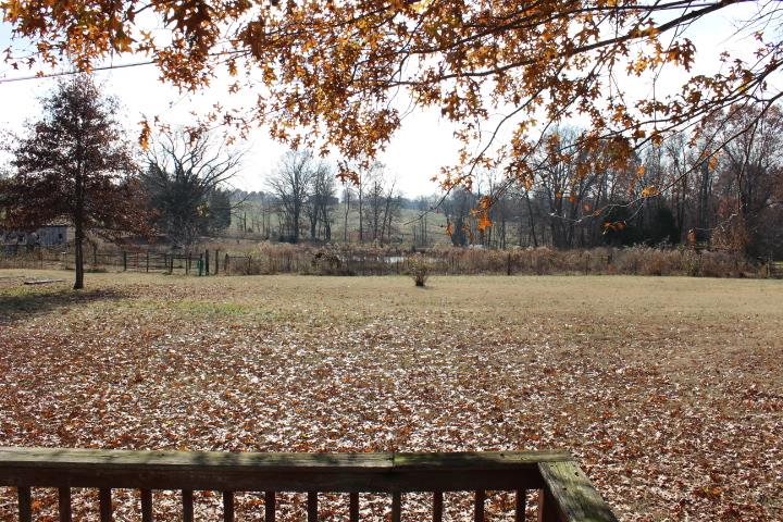 2140 Castelow Road Greenbrier, TN 37073 - Photo 17 of 29 Gallery Image 17