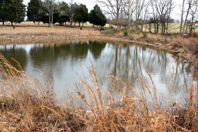 2140 Castelow Road Greenbrier, TN 37073 - Photo 22 of 29 Gallery Image 22