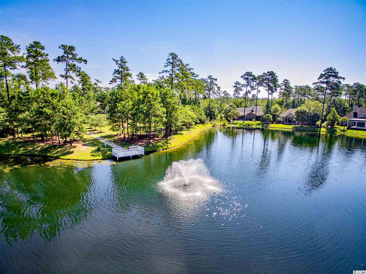 Lot 94 Creek View Court Murrells Inlet, SC 29576 - Photo 13 of 29 Gallery Image 13