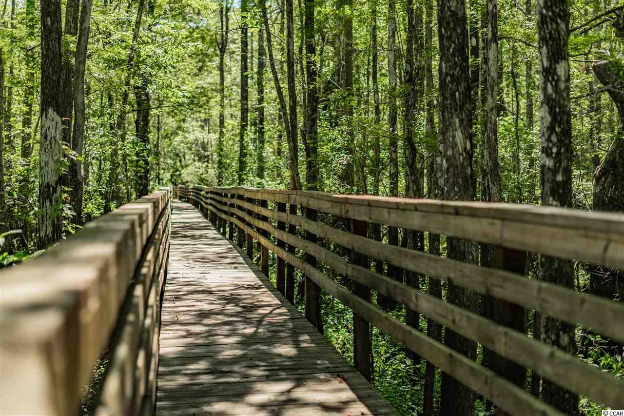 Lot 94 Creek View Court Murrells Inlet, SC 29576 - Photo 16 of 29 Gallery Image 16