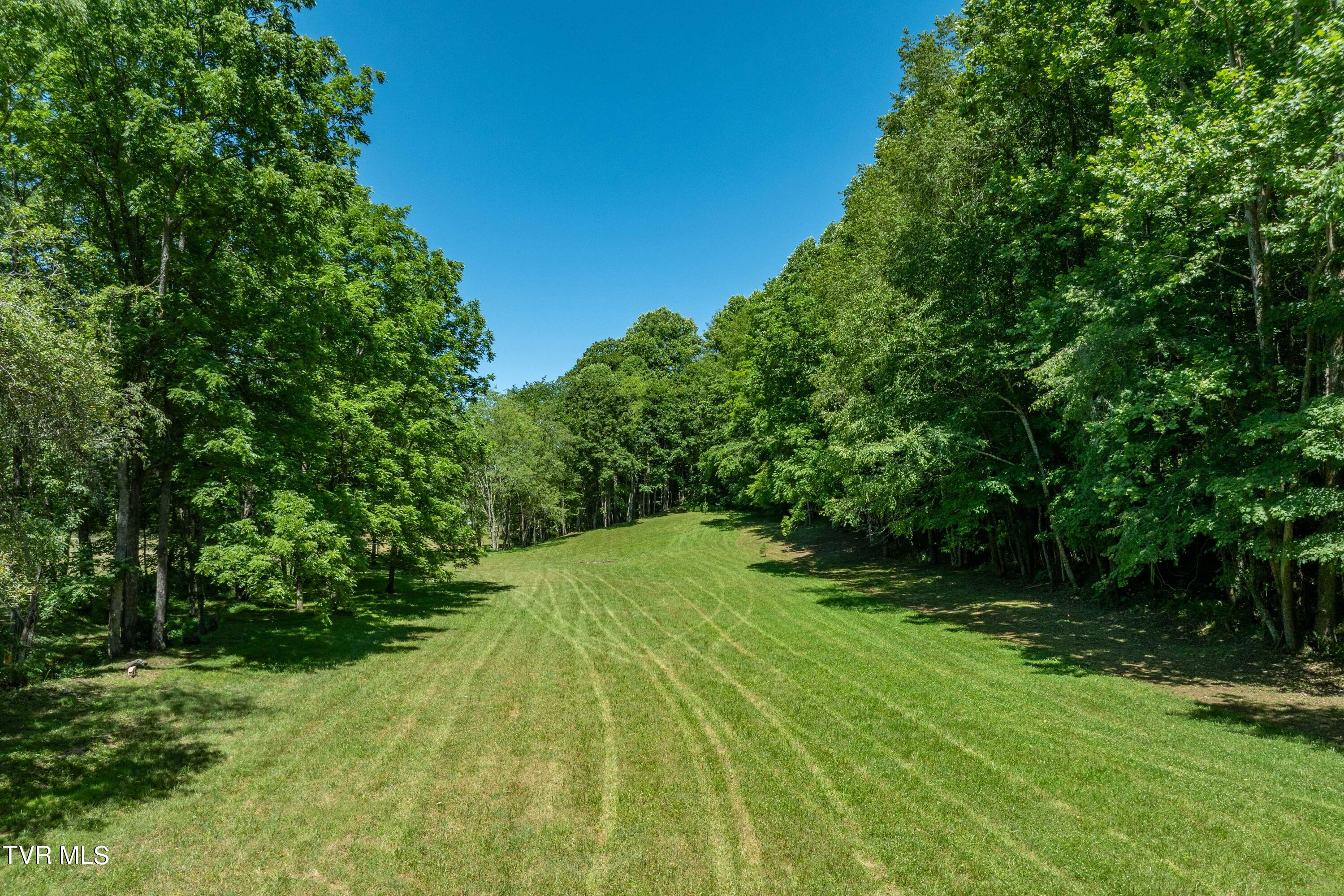 0 Copperhead Hollow Road Mountain City, TN 37683 - Photo 21 of 42 TBD Copperhead Hollow Road (21 of 42)