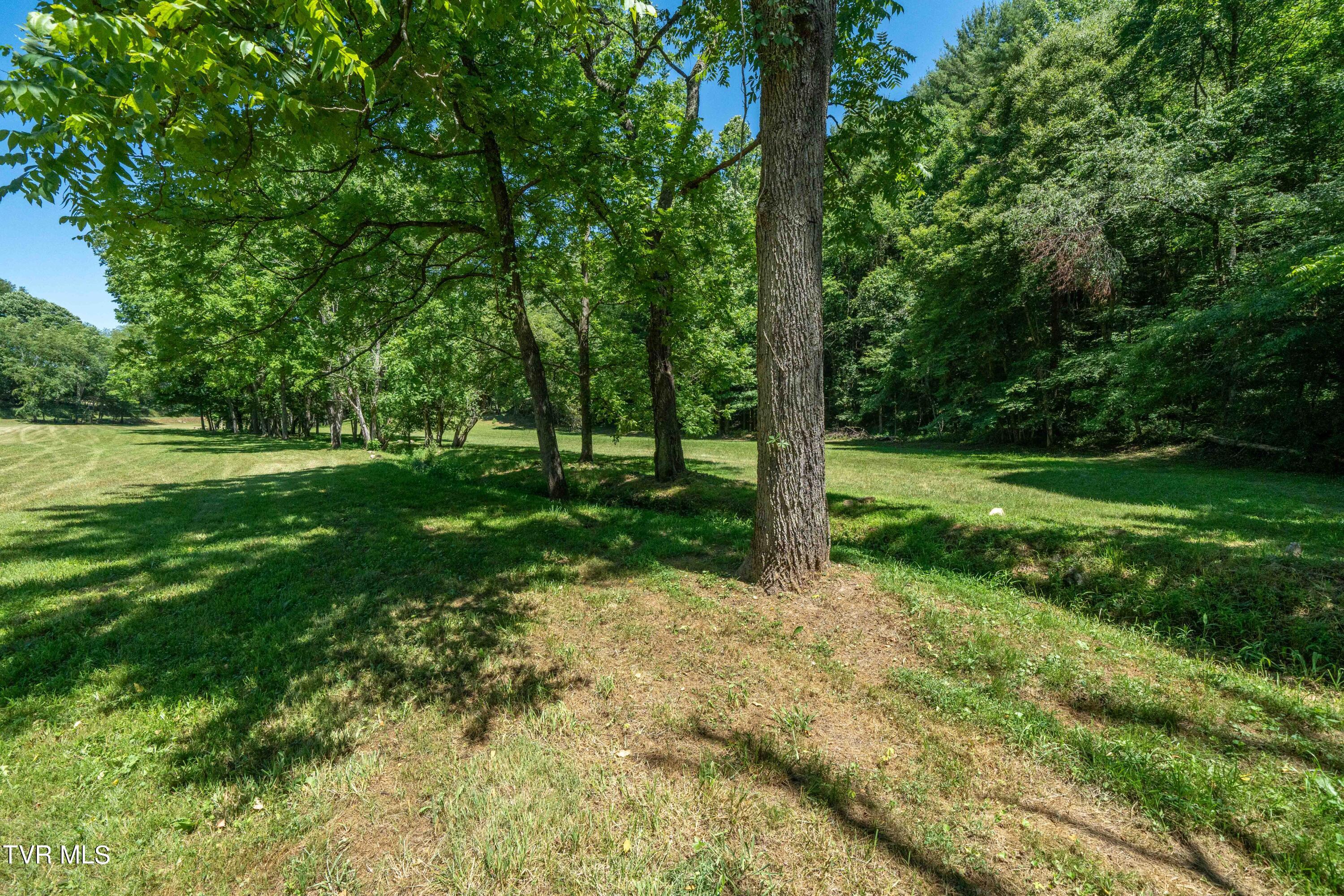 0 Copperhead Hollow Road Mountain City, TN 37683 - Photo 31 of 42 TBD Copperhead Hollow Road (31 of 42)