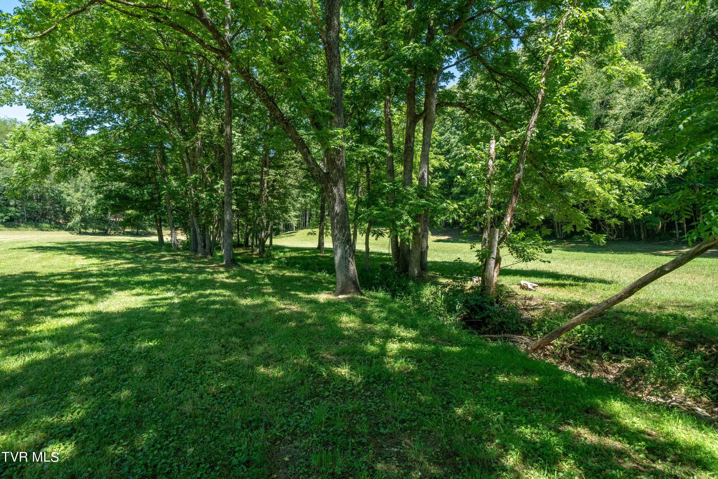 0 Copperhead Hollow Road Mountain City, TN 37683 - Photo 33 of 42 TBD Copperhead Hollow Road (33 of 42)