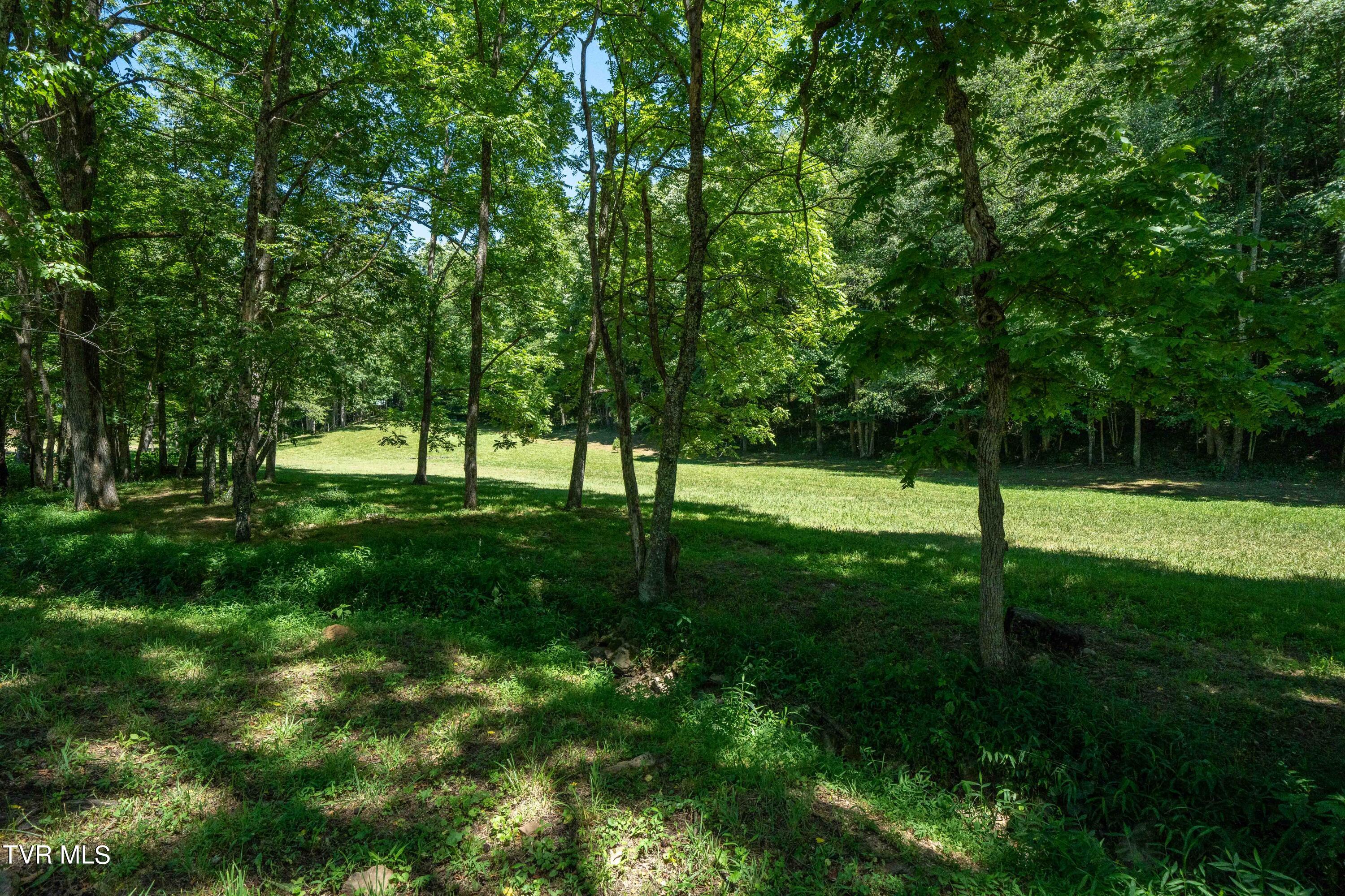 0 Copperhead Hollow Road Mountain City, TN 37683 - Photo 34 of 42 TBD Copperhead Hollow Road (34 of 42)