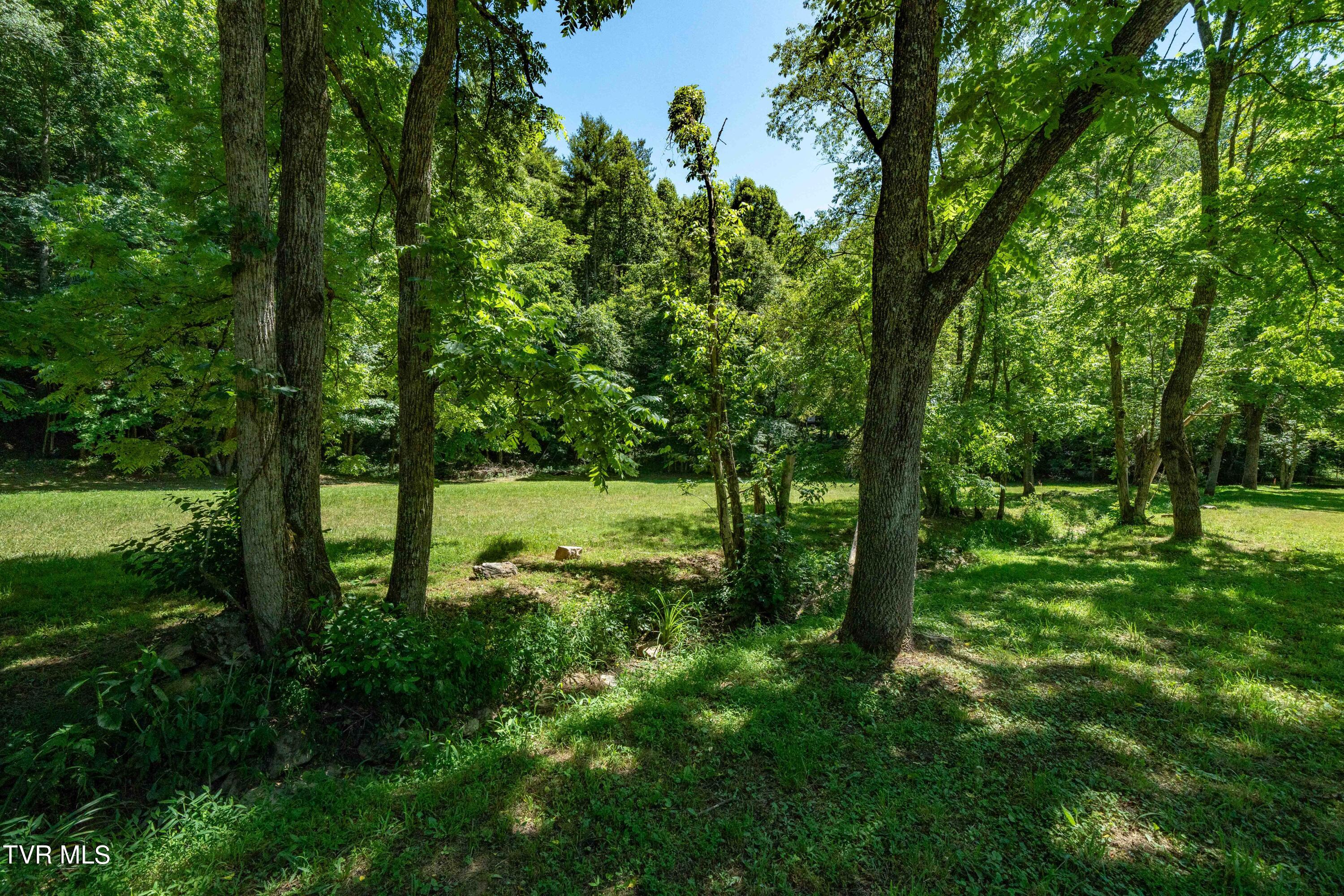 0 Copperhead Hollow Road Mountain City, TN 37683 - Photo 35 of 42 TBD Copperhead Hollow Road (35 of 42)
