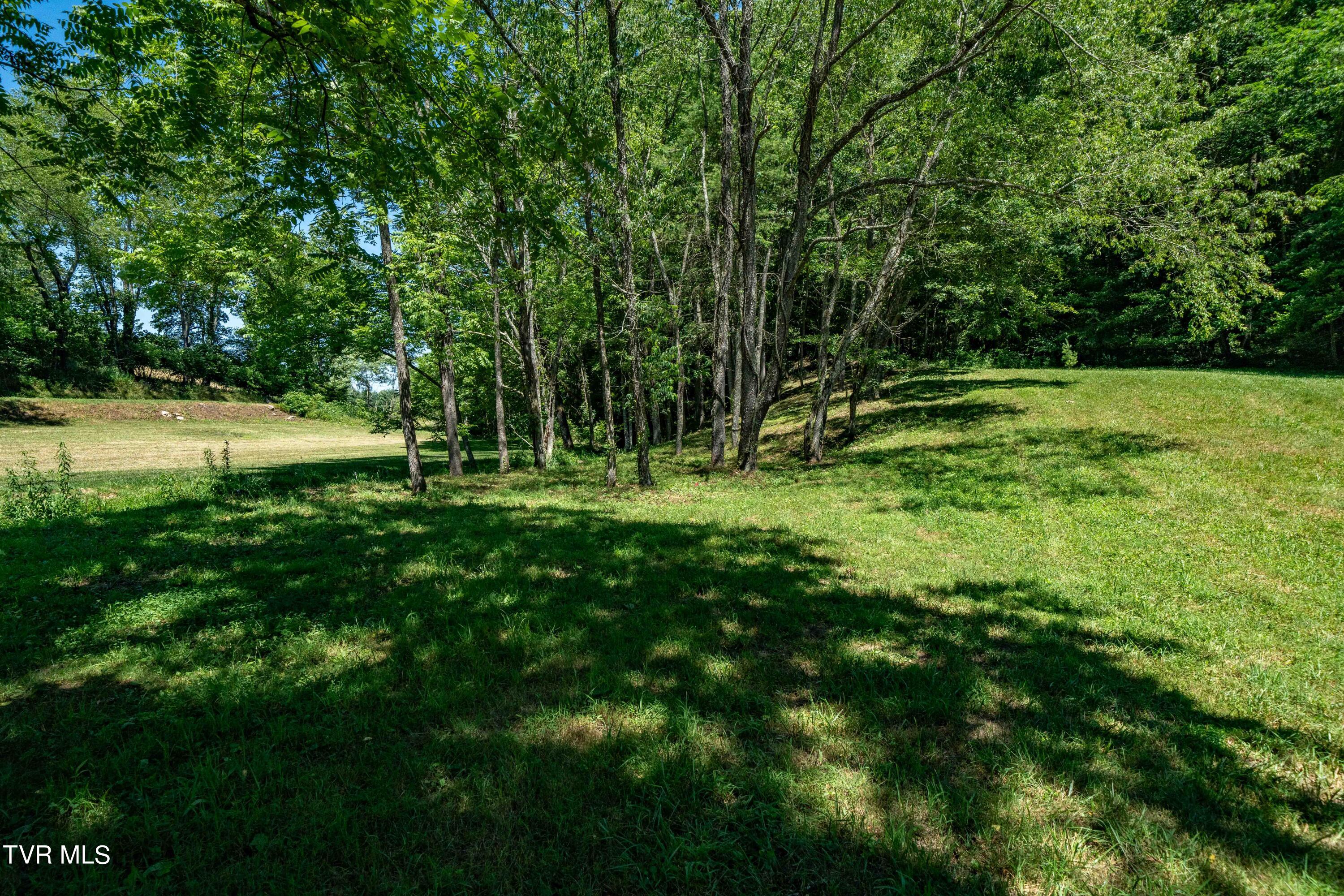 0 Copperhead Hollow Road Mountain City, TN 37683 - Photo 39 of 42 TBD Copperhead Hollow Road (39 of 42)