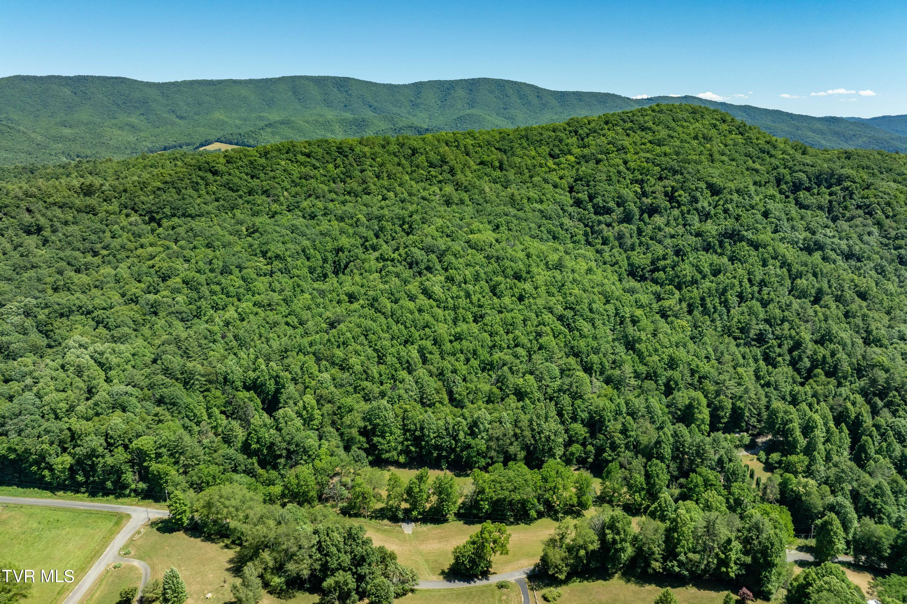 0 Copperhead Hollow Road Mountain City, TN 37683 - Photo 7 of 42 TBD Copperhead Hollow Road (7 of 42)