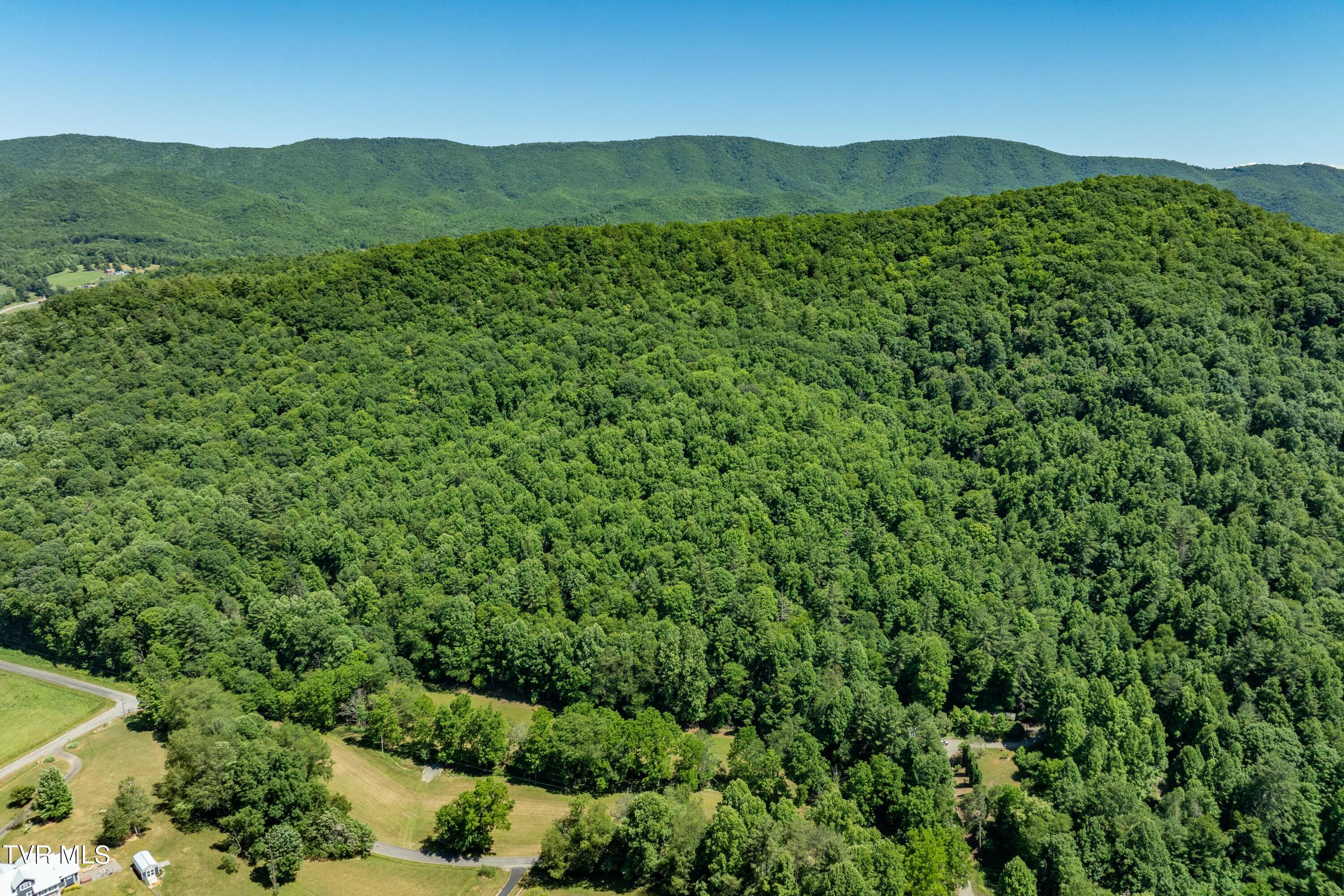 0 Copperhead Hollow Road Mountain City, TN 37683 - Photo 8 of 42 TBD Copperhead Hollow Road (8 of 42)