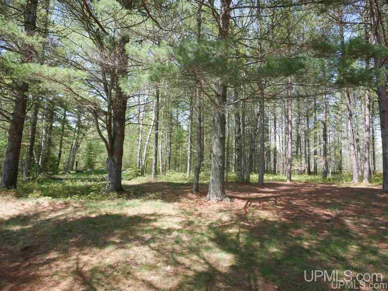 33985 Rice Landing Rd Lake Lake Linden, MI 49945 - Photo 22 of 30