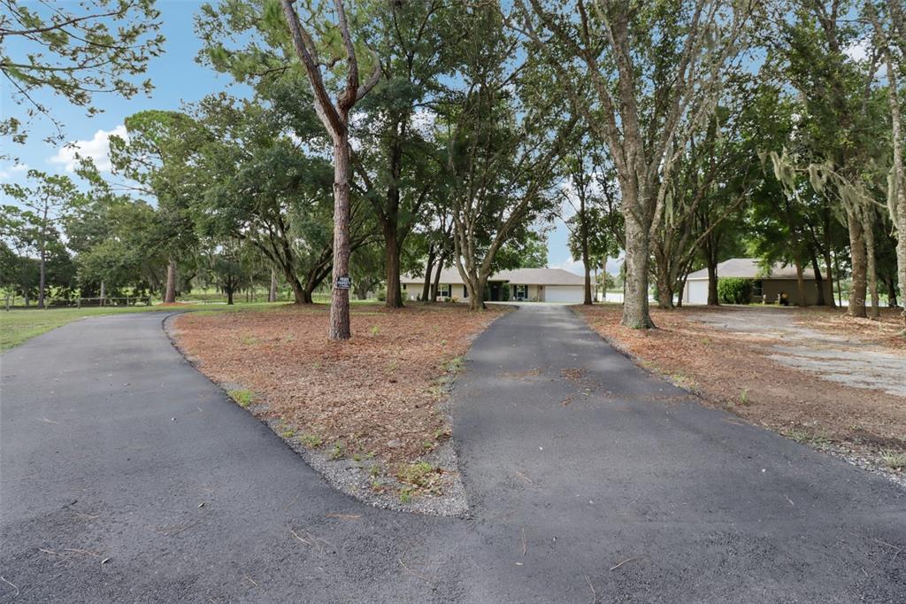 40610 Babb Road Umatilla, FL 32784 - Photo 36 of 45 a view of a outdoor space with trees