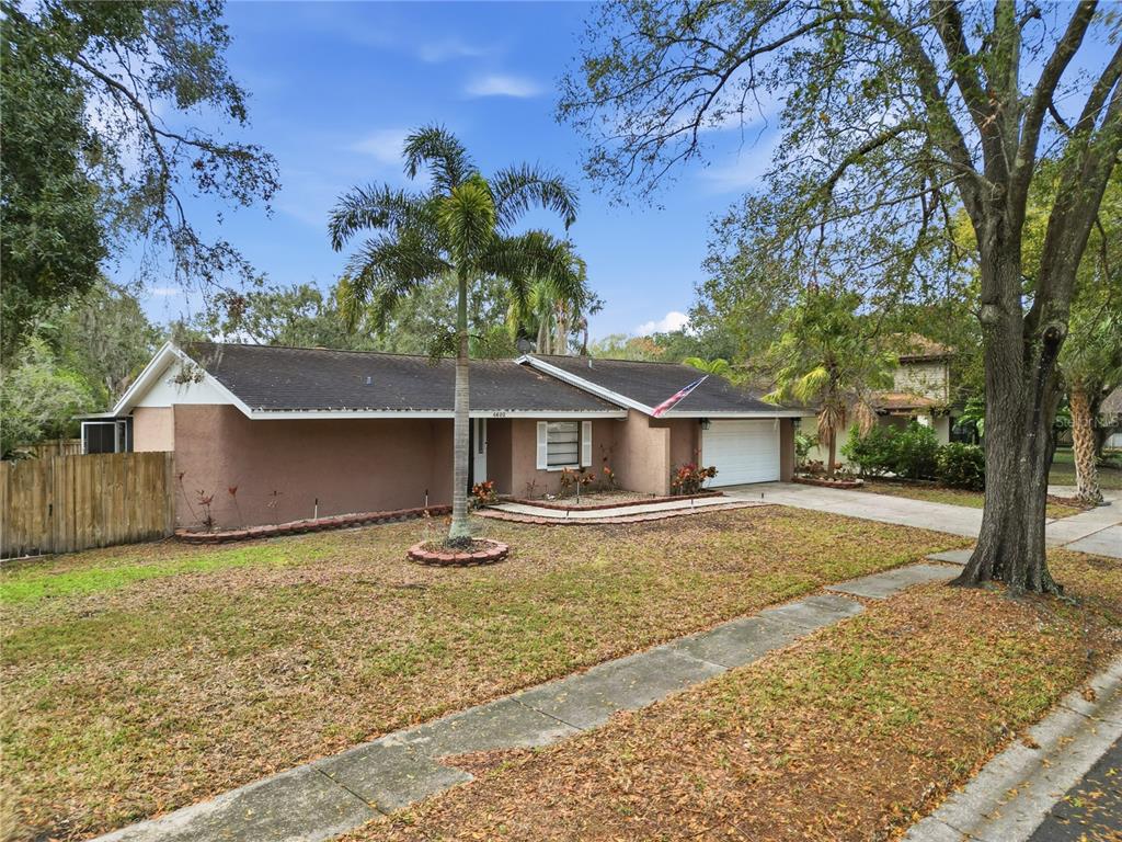 4602 Buckeye Road Tampa, FL 33624 - Photo 3 of 36 Gallery Image 3