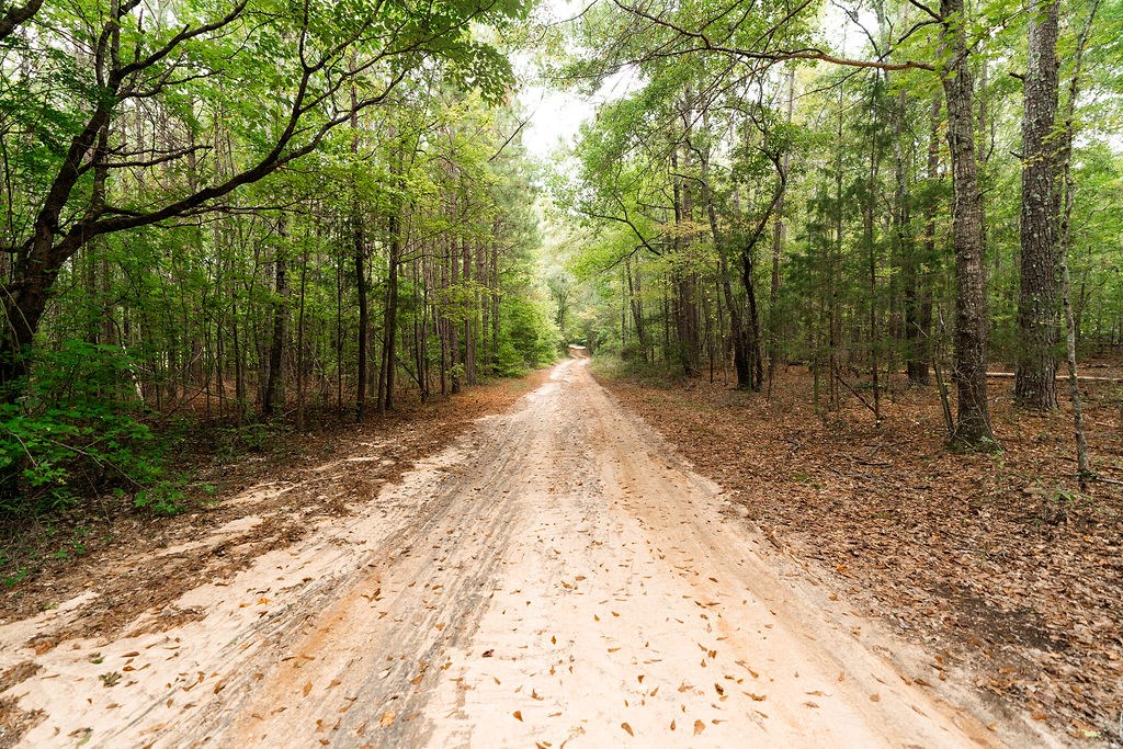 206 Hess Johnson Road Shiloh, GA 31826 - Photo 70 of 70 Gallery Image 70