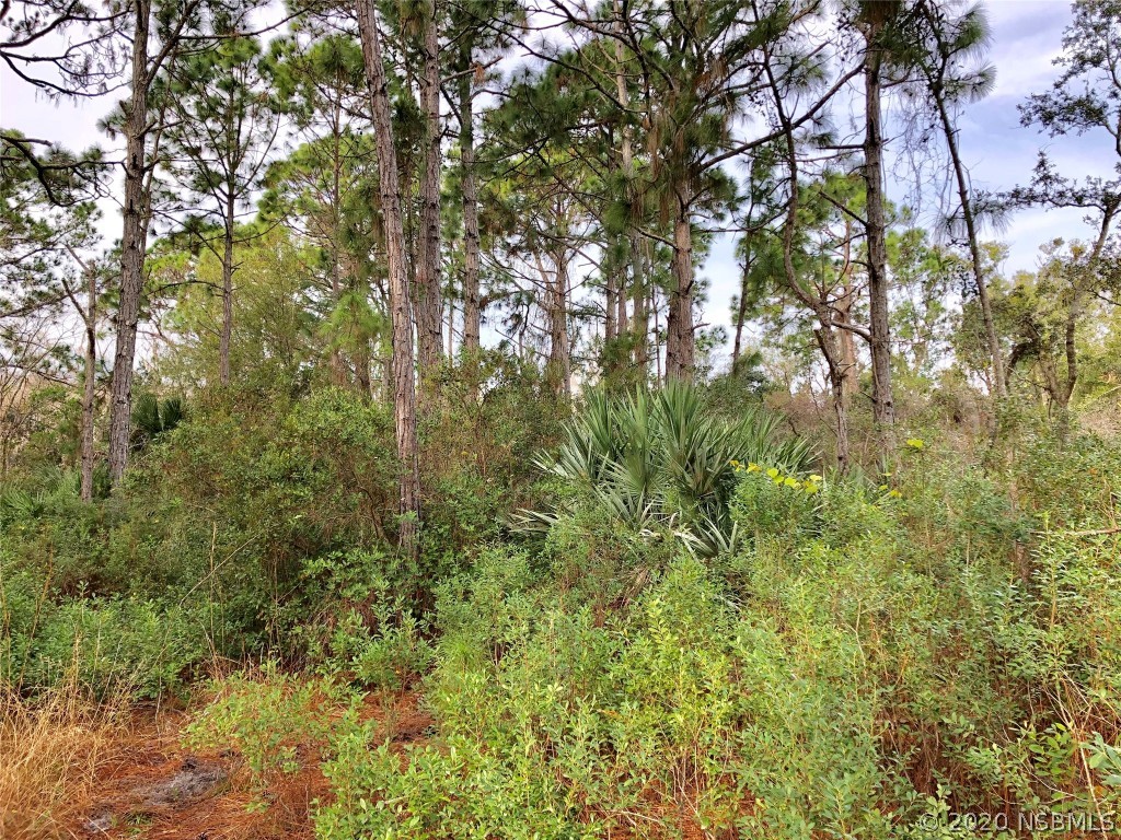0 Relocation Road Edgewater, FL 32141 - Photo 1 of 5 Gallery Image 1