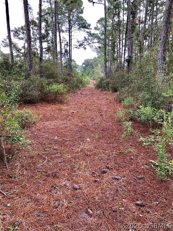 0 Relocation Road Edgewater, FL 32141 - Photo 3 of 5 Gallery Image 3