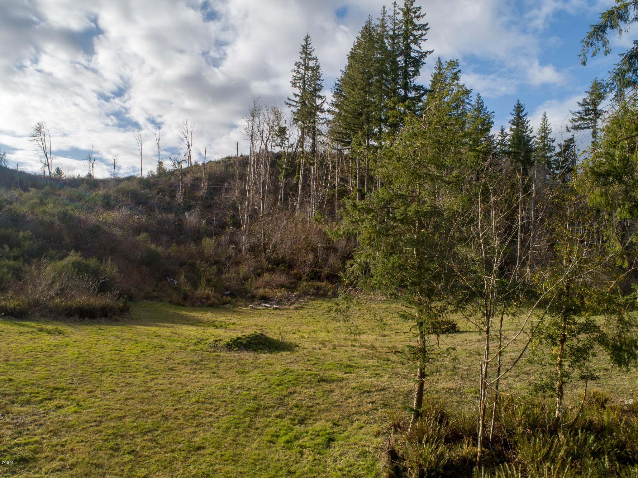 2 Olalla Road Toledo, OR 97391 - Photo 2 of 14 Olalla Road Toledo (1)