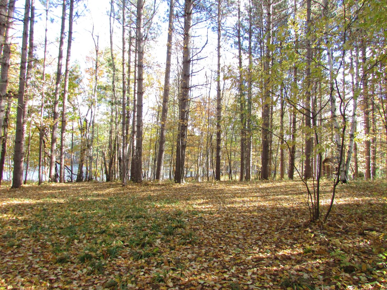 On White Birch Road Woodruff, WI 54568 - Photo 16 of 18 Gallery Image 16