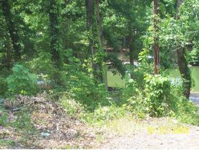 178 Cedar Point Road, Unit 9 Johnson City, TN 37601 - Photo 3 of 3 Photo 3