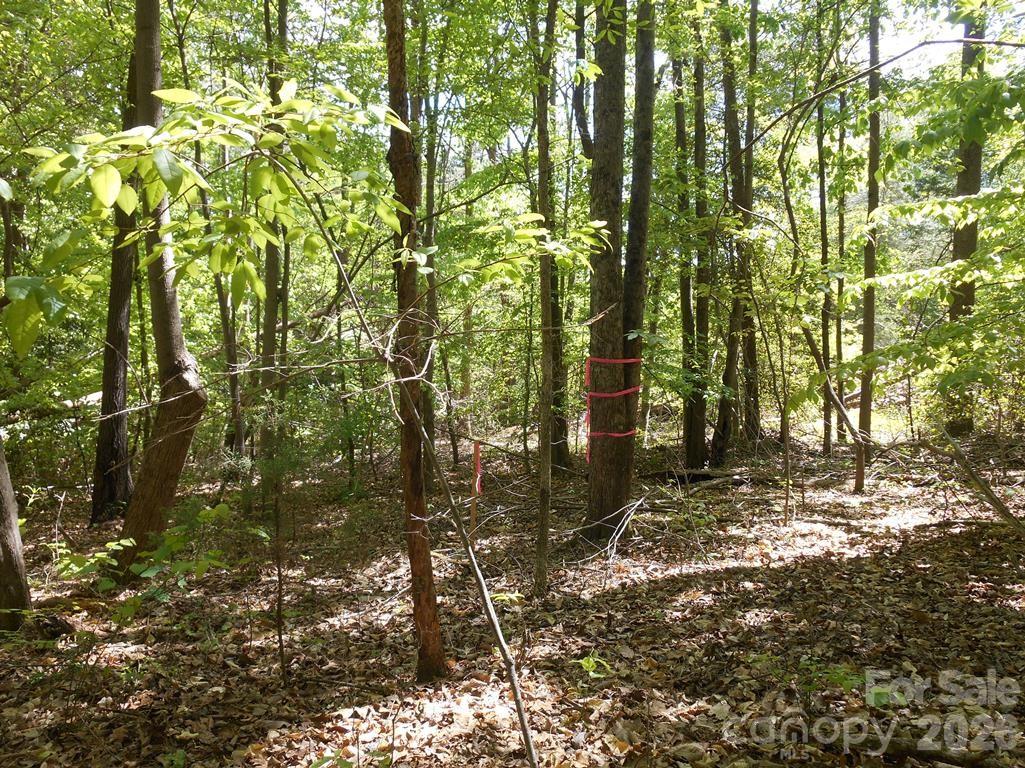 0 Tin Mine Road, Unit 1 Lincolnton, NC 28092 - Photo 8 of 13 Gallery Image 8