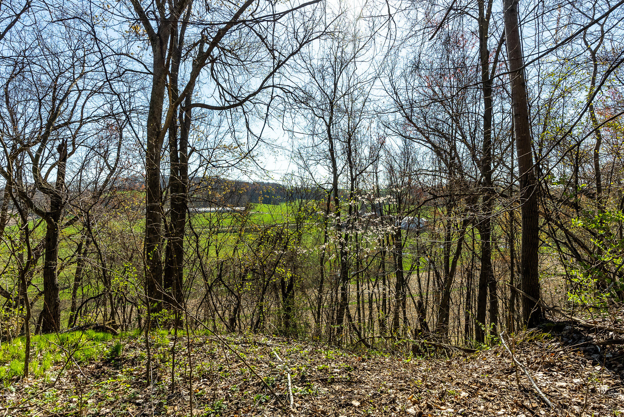 Lt2 Eli Valley Road Hillpoint, WI 53937 - Photo 9 of 47 Sauk-County-WI-53-Acres-Land-For-Sale-9