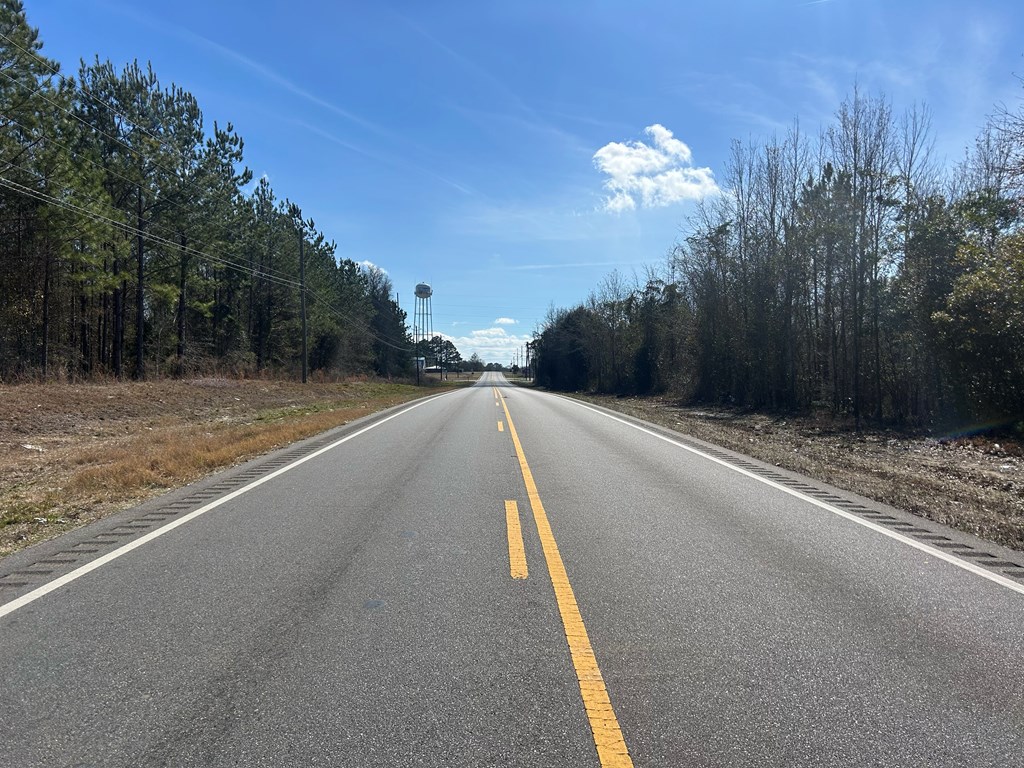 Lot 3-15 -ac Cottonwood Rd/ Phillips Road Cottonwood, AL 36320 - Photo 13 of 49