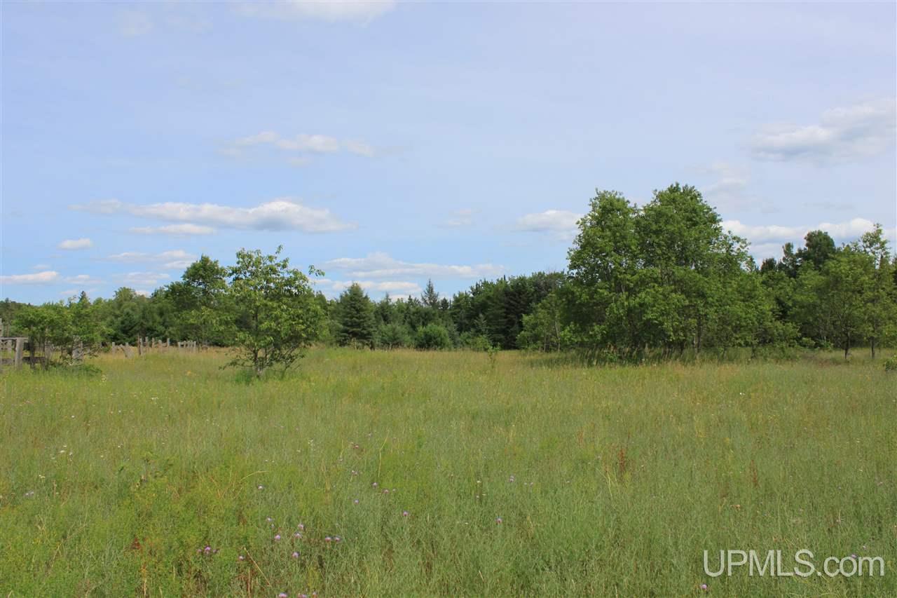 Tbd Riley Road Shingleton, MI 49884 - Photo 12 of 24
