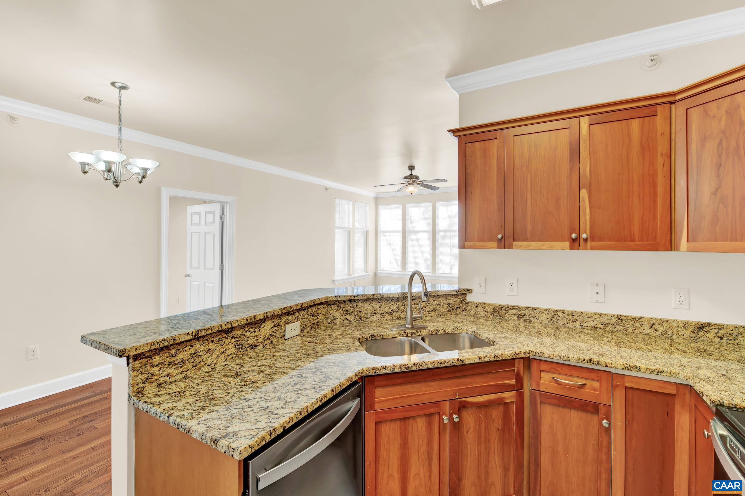1143 Tupelo Terrace Charlottesville, VA 22903 - Photo 5 of 20 a kitchen with a granite countertop sink and dishwasher cabinets with wooden floor