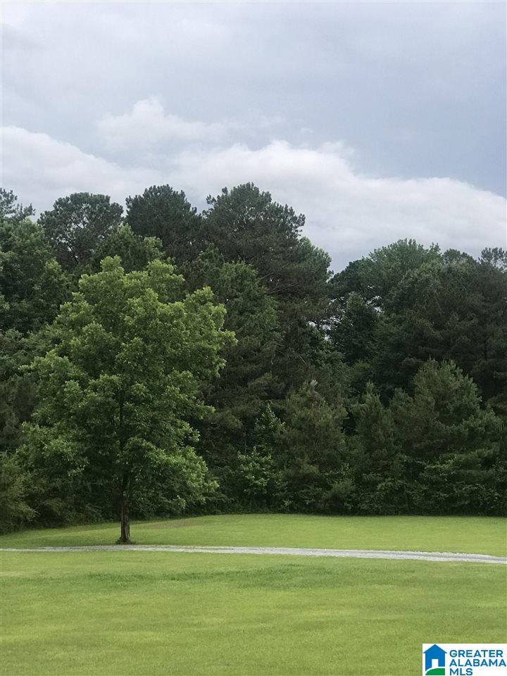 3540 Odens Mill Road Sylacauga, AL 35151 - Photo 23 of 23