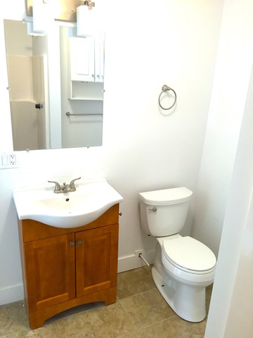 425 Bode Road Hoffman Estates, IL 60169 - Photo 7 of 11 a bathroom with a sink and a toilet