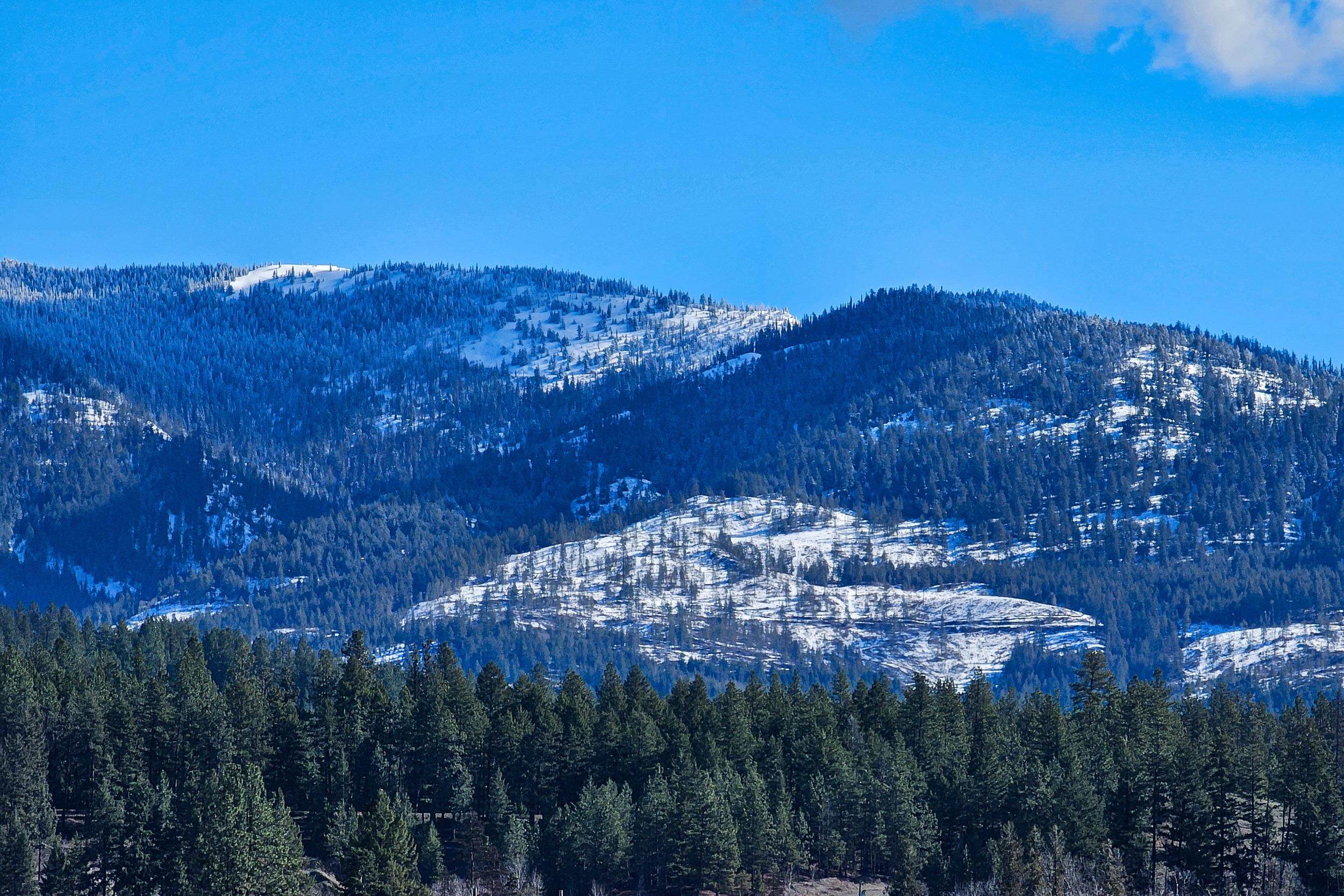 2037 Ringneck Loop Colville, WA 99114 - Photo 11 of 20