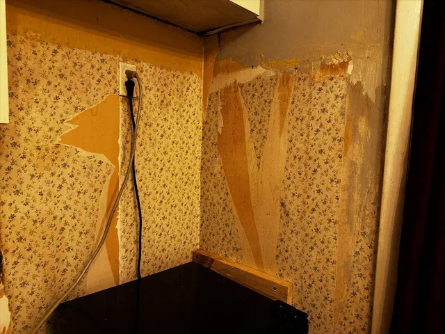 a view of a utility room with cabinets and a window